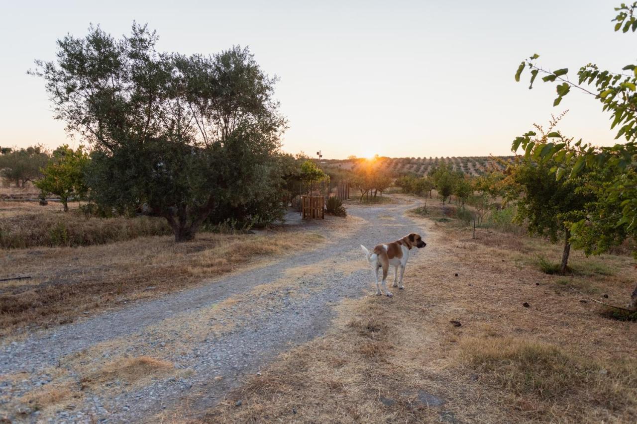 Monte Da Estrela - Country House & Spa Moura Bagian luar foto