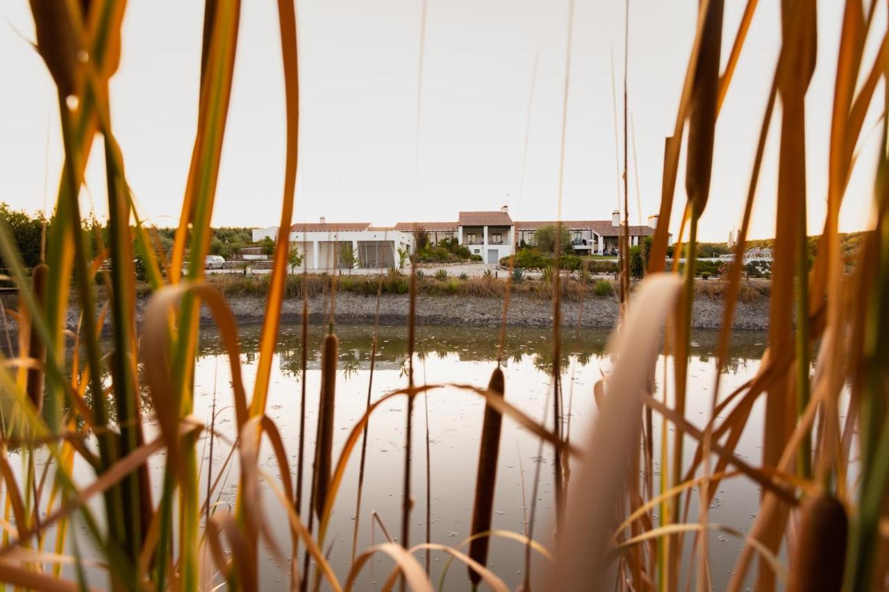 Monte Da Estrela - Country House & Spa Moura Bagian luar foto